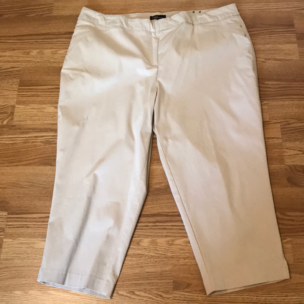 Dalia Capris - Size 22W